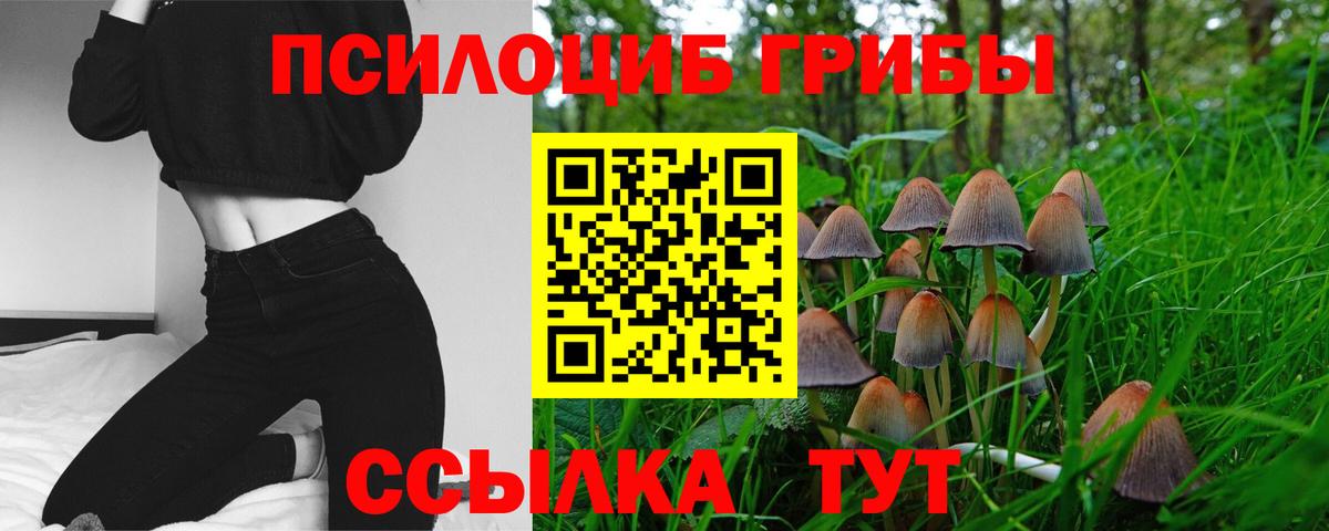 Галлюциногенные грибы прущие грибы  Вход с VPN  Псилоцибиновые грибы GOLDEN TEACHER  Ликино-Дулёво 